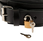 Zado Leather Collar & Leash · kožený obojek s vodítkem a visacím zámkem
