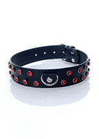 Fetish B-Series obojek s červenými krystaly · šířka 3 cm