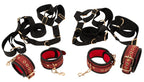 Bad Kitty Bed/Door Restraint Set · fixační sada k posteli i dveřím