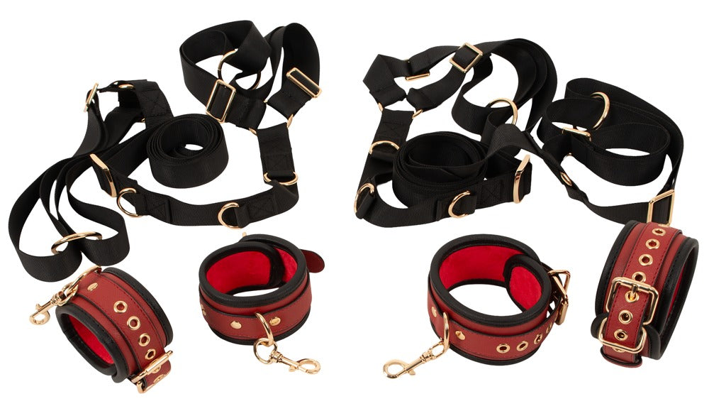 Bad Kitty Bed/Door Restraint Set · fixační sada k posteli i dveřím