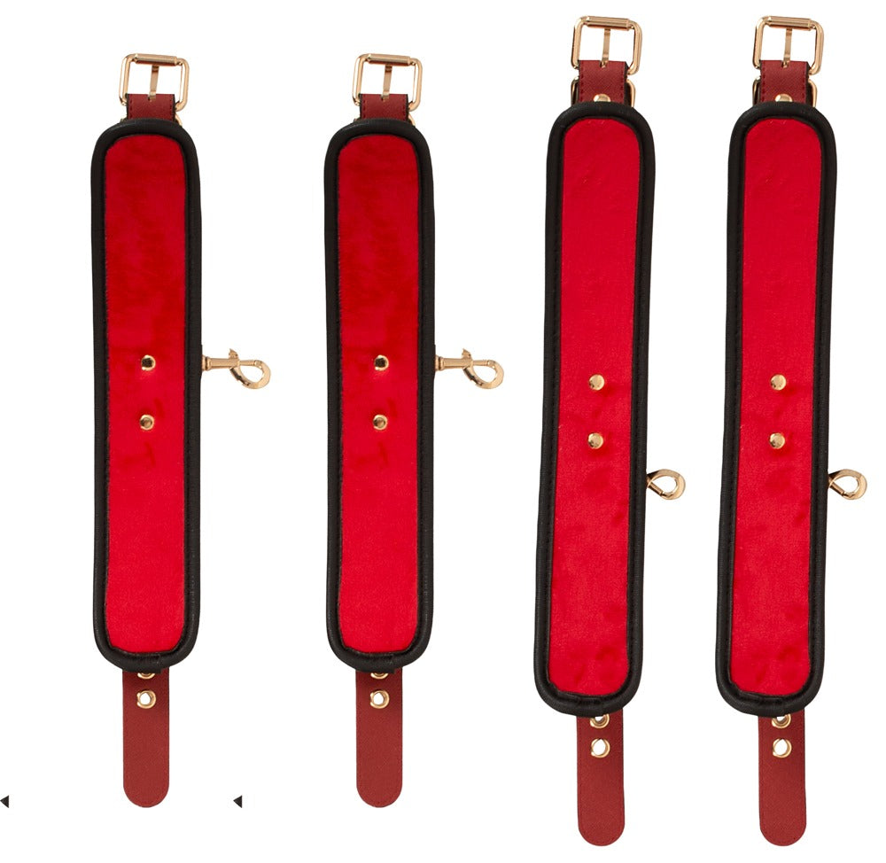 Bad Kitty Bed/Door Restraint Set · fixační sada k posteli i dveřím