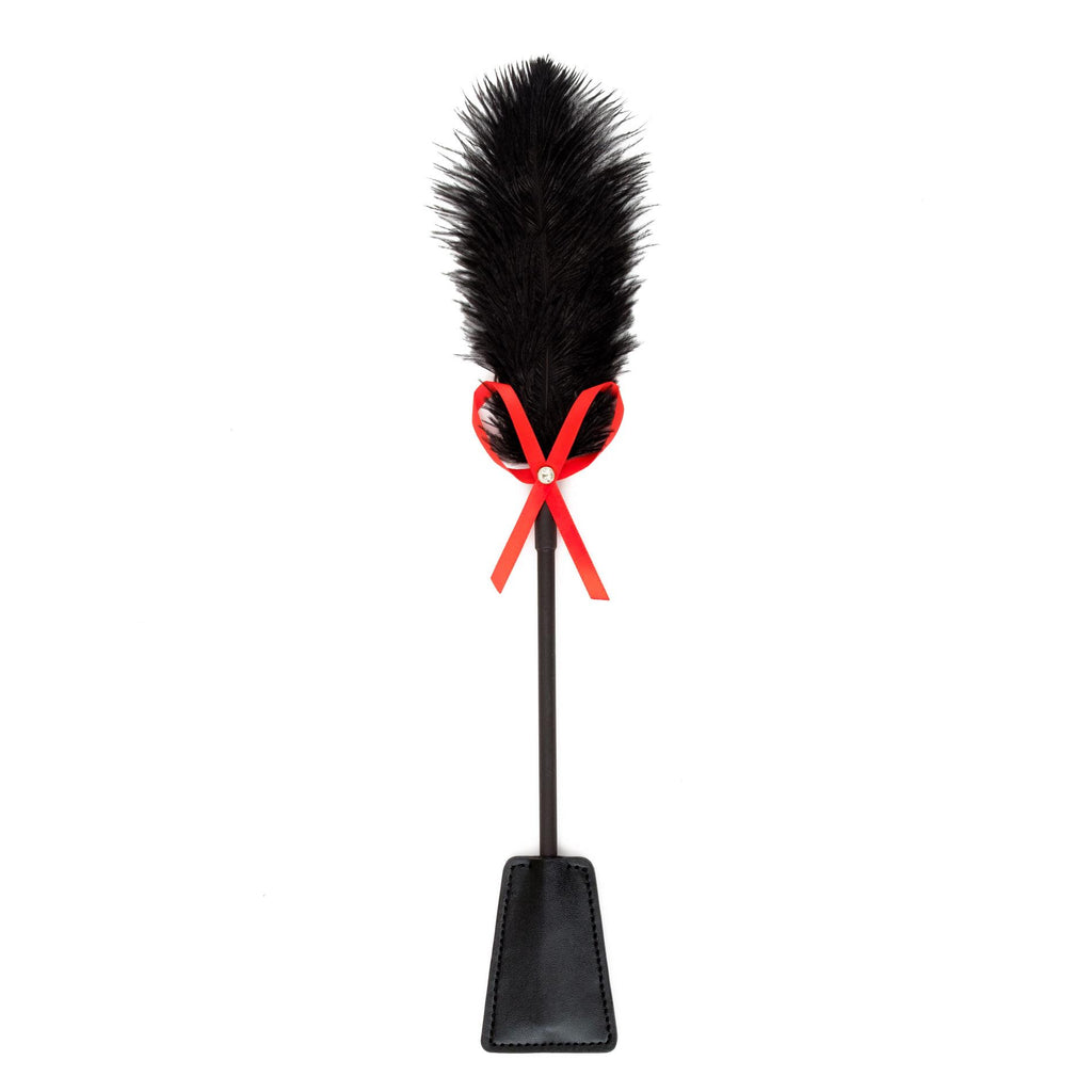 Fetish B-Series Tickler & Whip 2.0