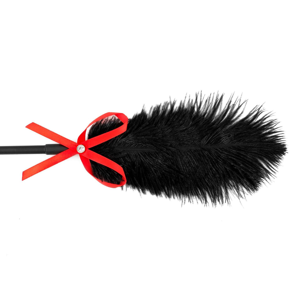 Fetish B-Series Tickler & Whip 2.0